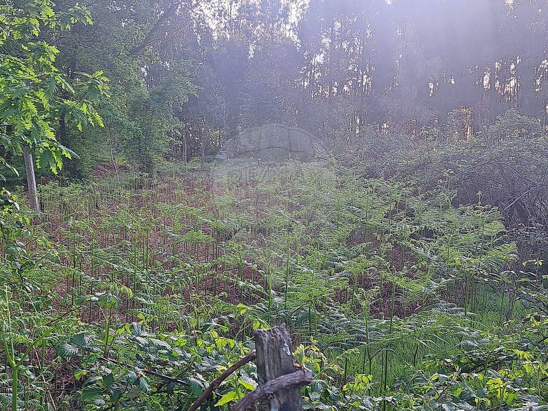 Terreno à venda em Águeda