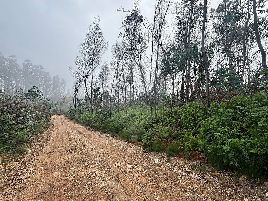 Terreno à venda em Águeda