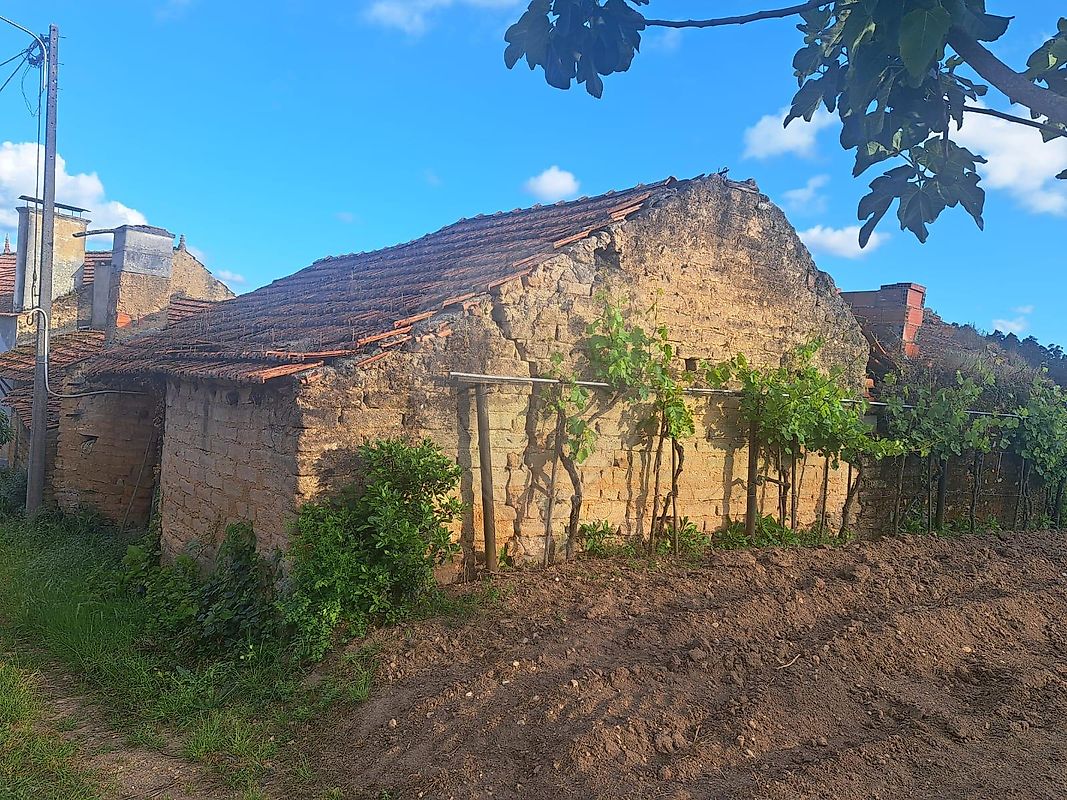 Terreno à venda em Águeda