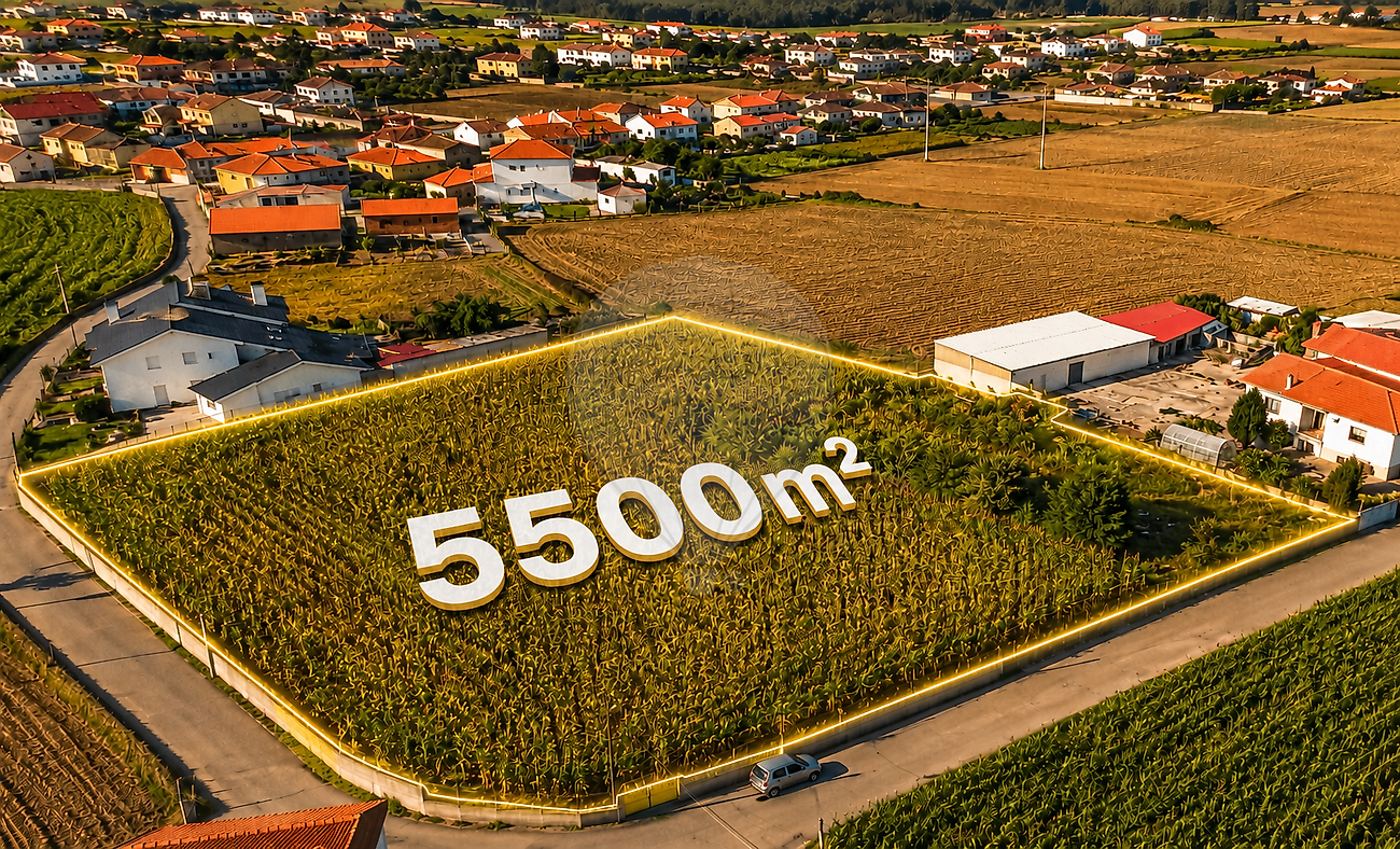 Terreno - Loureiro, Oliveira de Azeméis, Aveiro