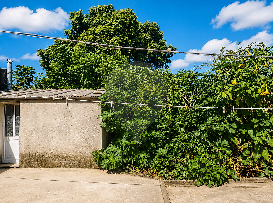 Moradia T3 à venda em Salreu, Estarreja — foto 4