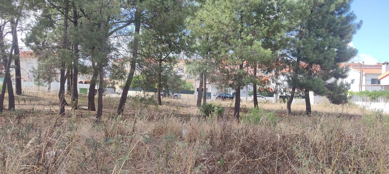 Land for sale in Sesimbra, Portugal — €60,000
