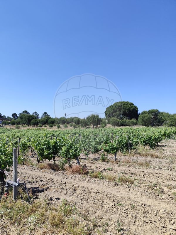 listing-picture-0