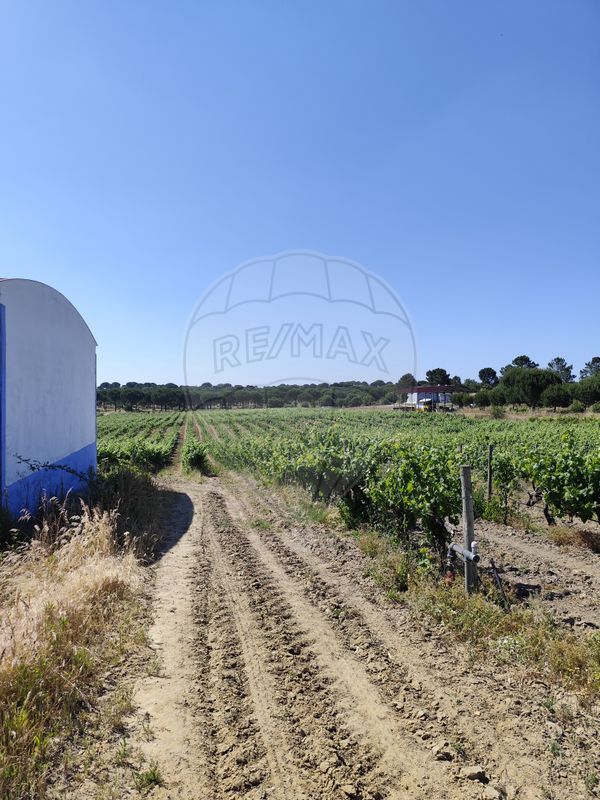 listing-picture-0