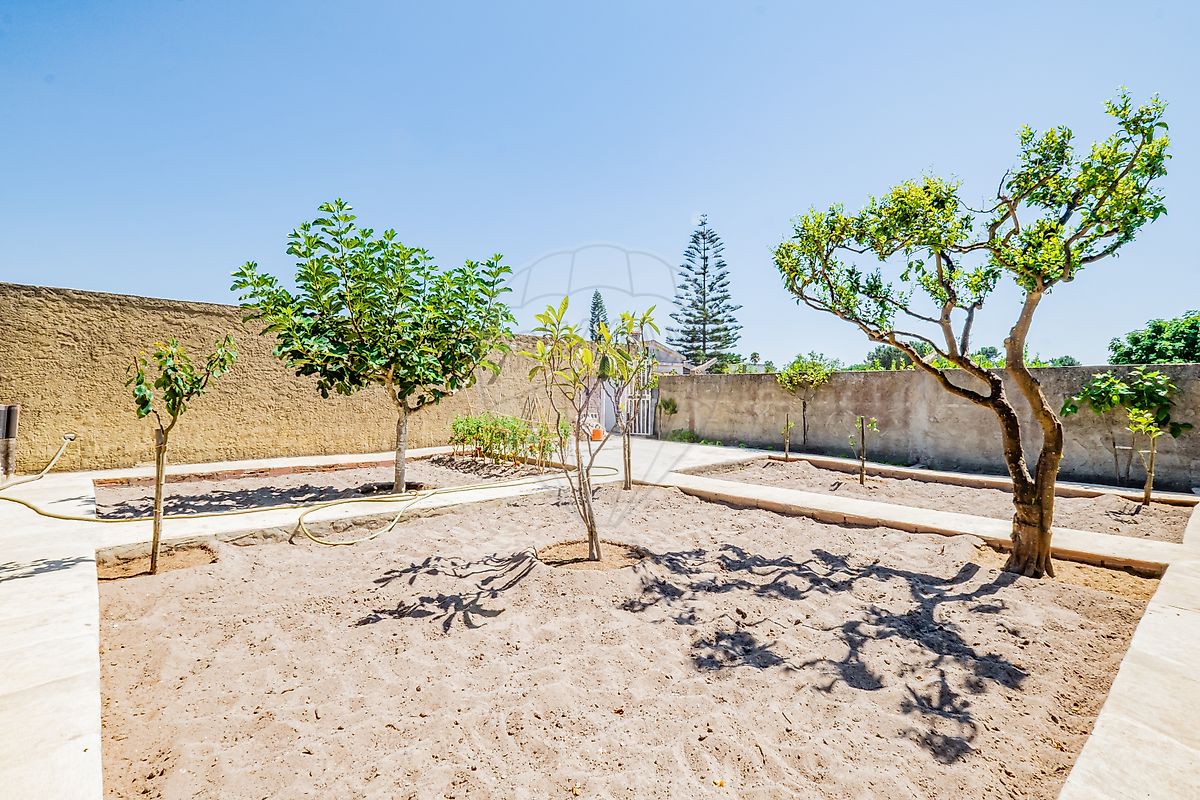 listing 123891270-3 picture-0