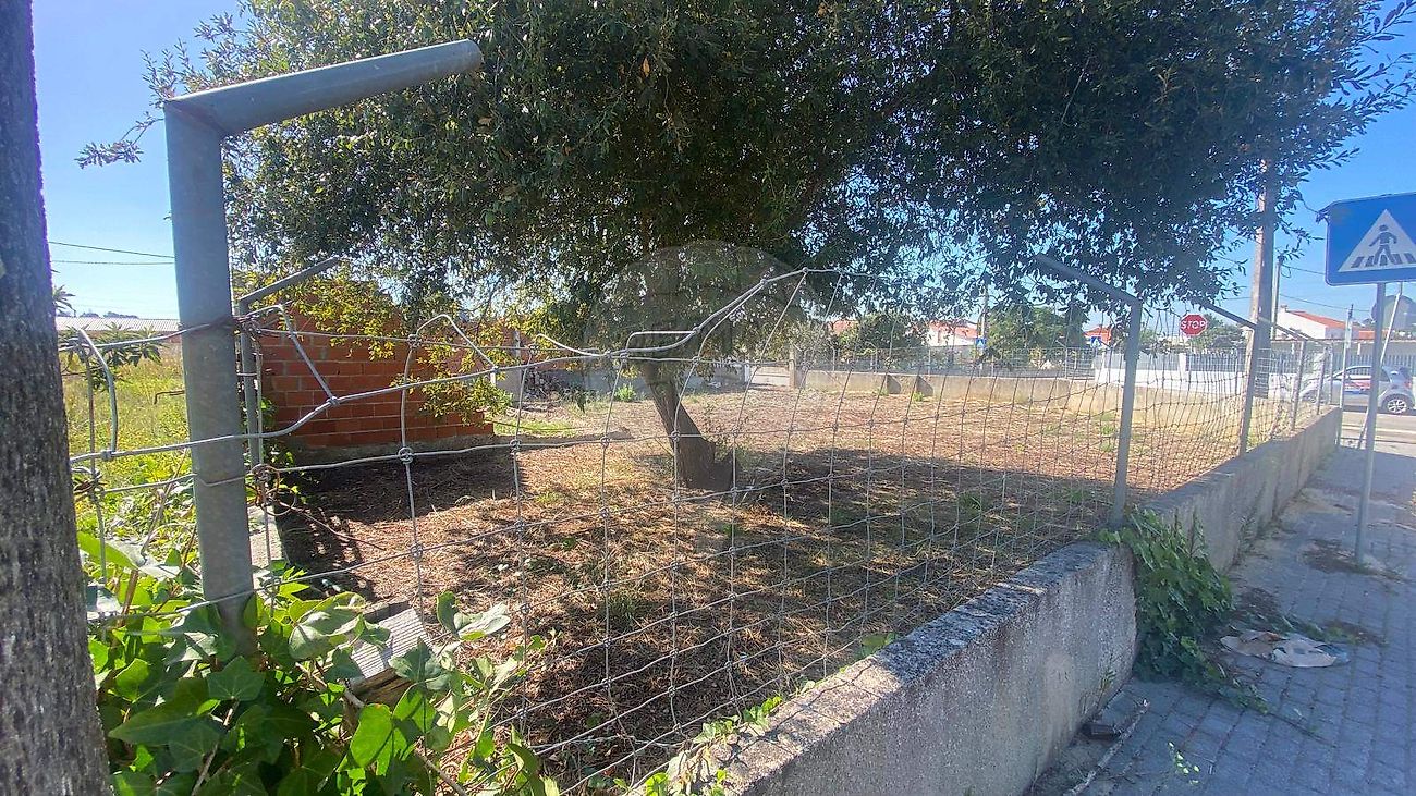 Terreno  para venda