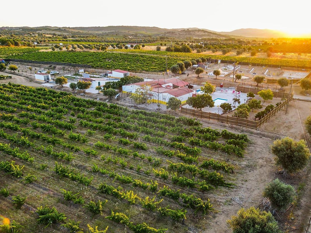 Quinta - Vila de Frades, Vidigueira, Beja
