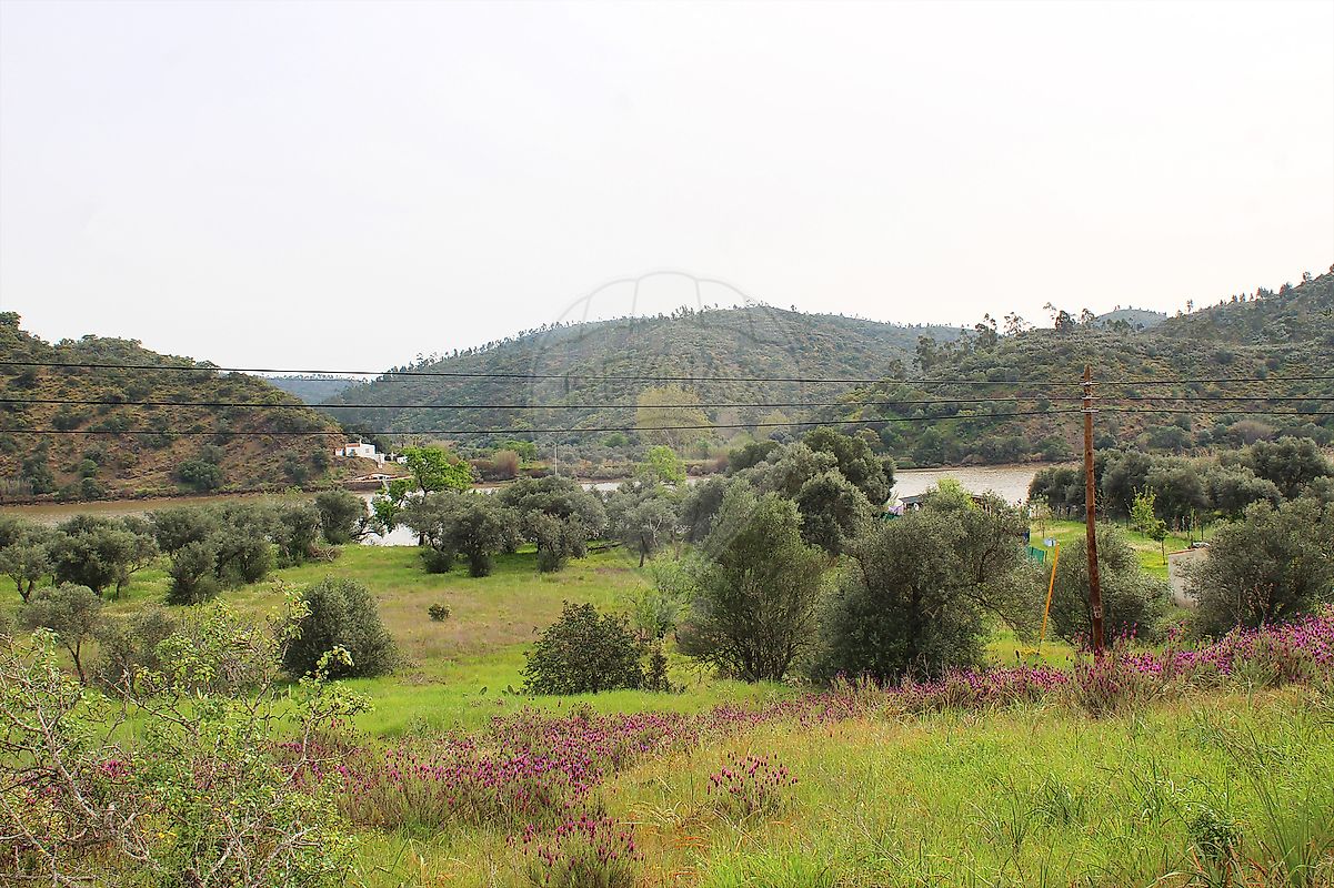 Terreno à venda em Alcoutim