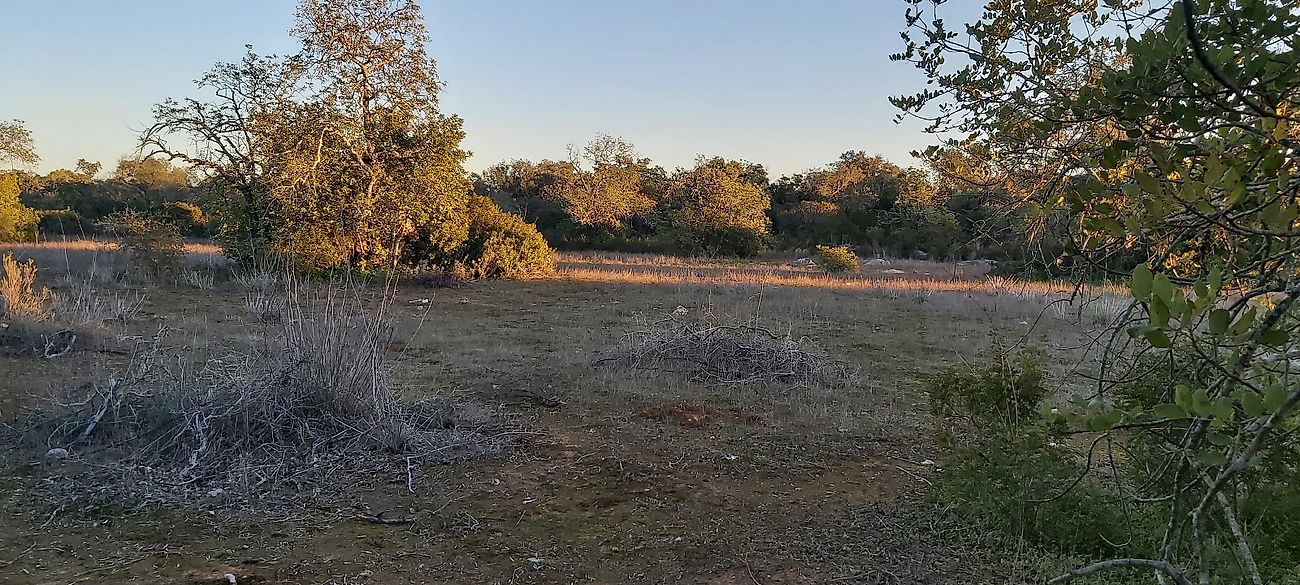 Terreno  à venda em Olhão