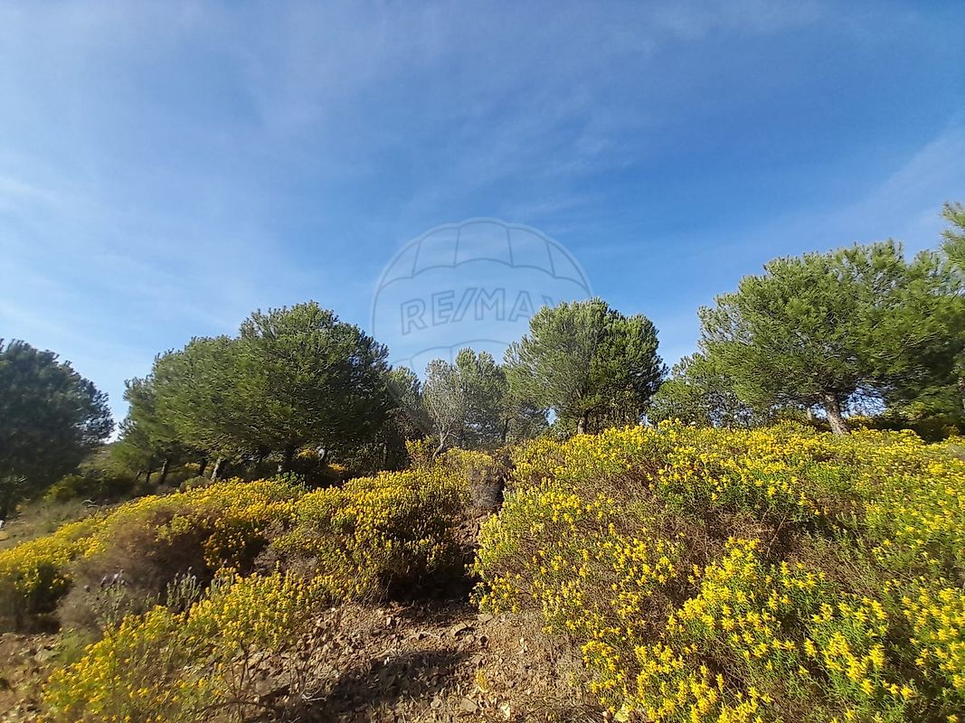 Terreno  à venda em Castro Marim