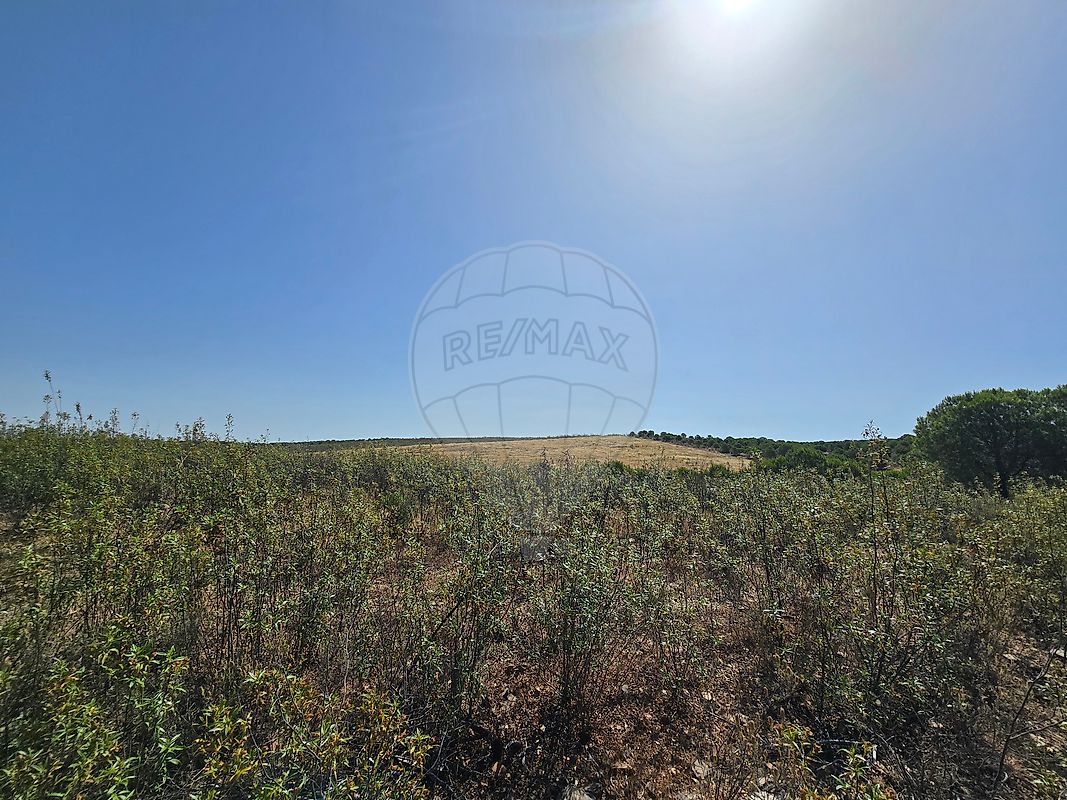 Terreno - Alcoutim e Pereiro, Alcoutim, Faro