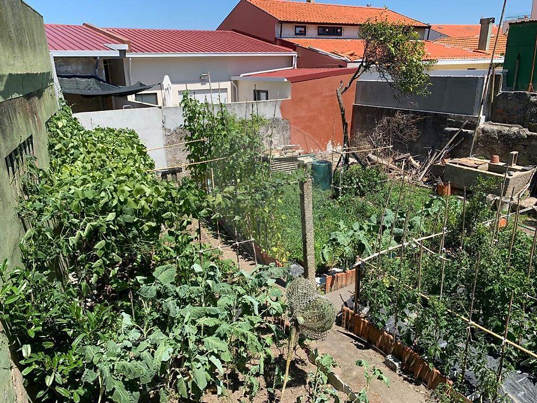 listing 123921072-3 picture-0