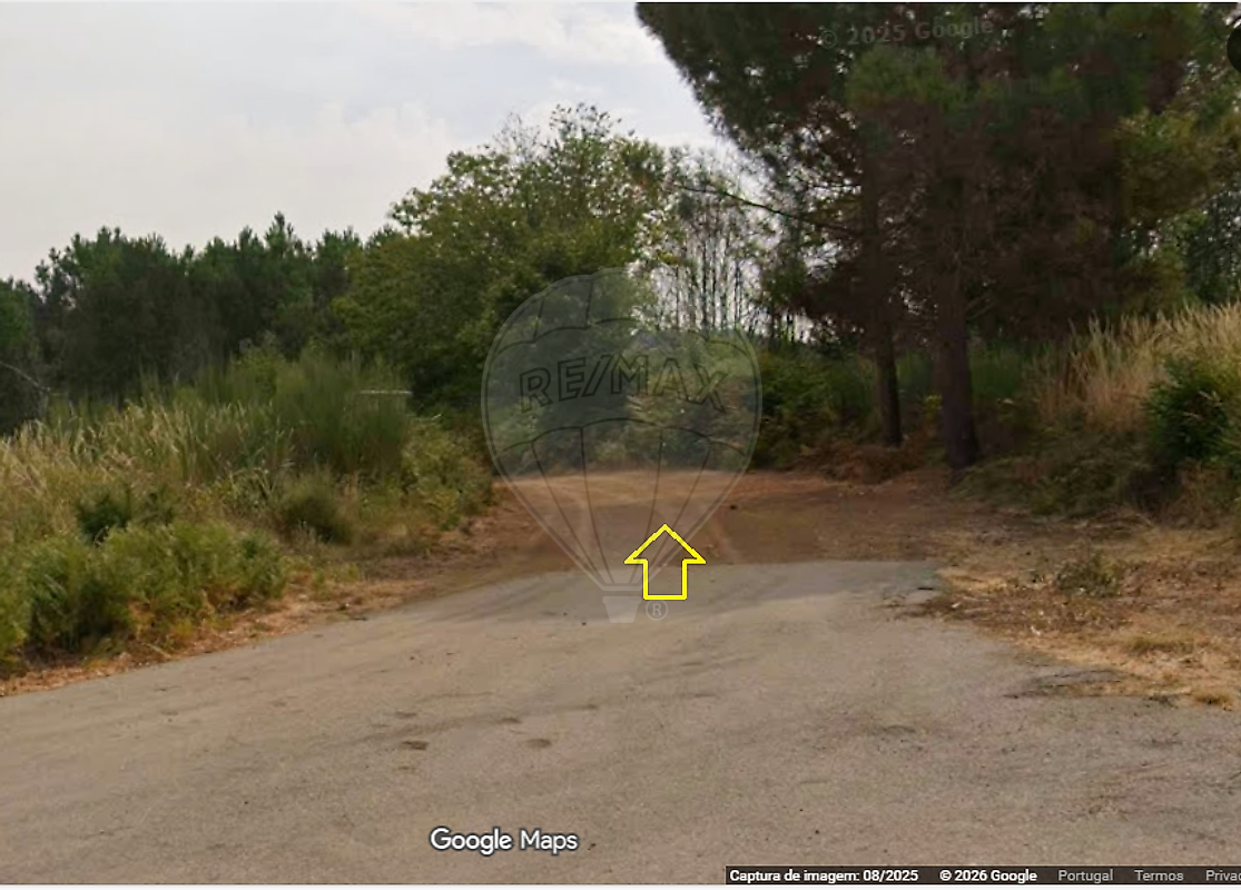 Terreno - Sabrosa, Sabrosa, Vila Real