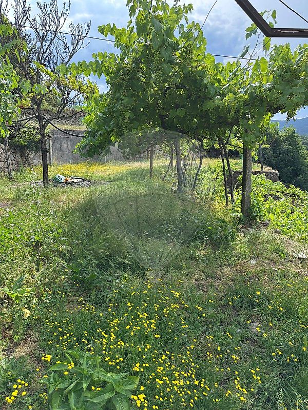 Moradia T6+ à venda em Roge, Vale de Cambra — foto 15