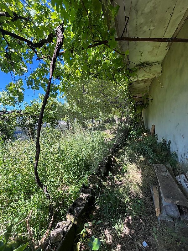 Moradia T6+ à venda em Roge, Vale de Cambra — foto 13