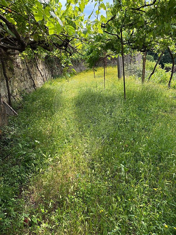 Moradia T6+ à venda em Roge, Vale de Cambra — foto 9