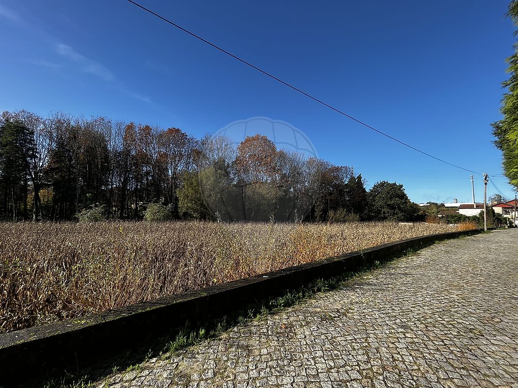 Terreno  à venda em Oliveira de Azeméis