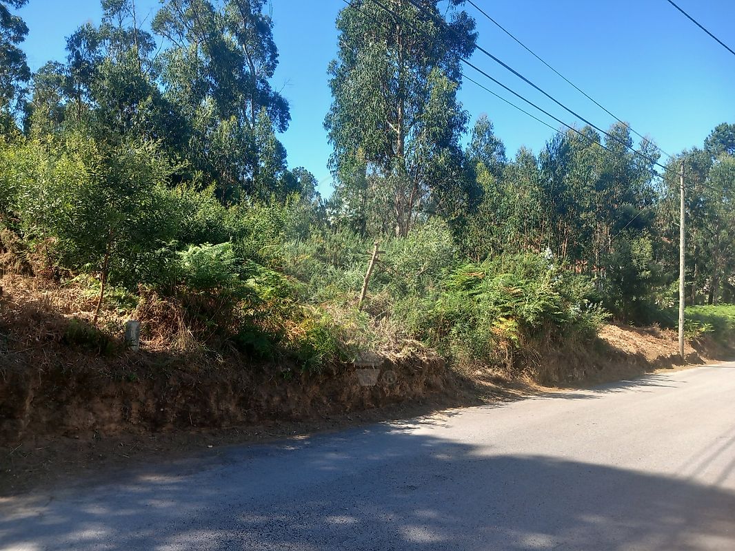 Terreno em Santa Maria da Feira