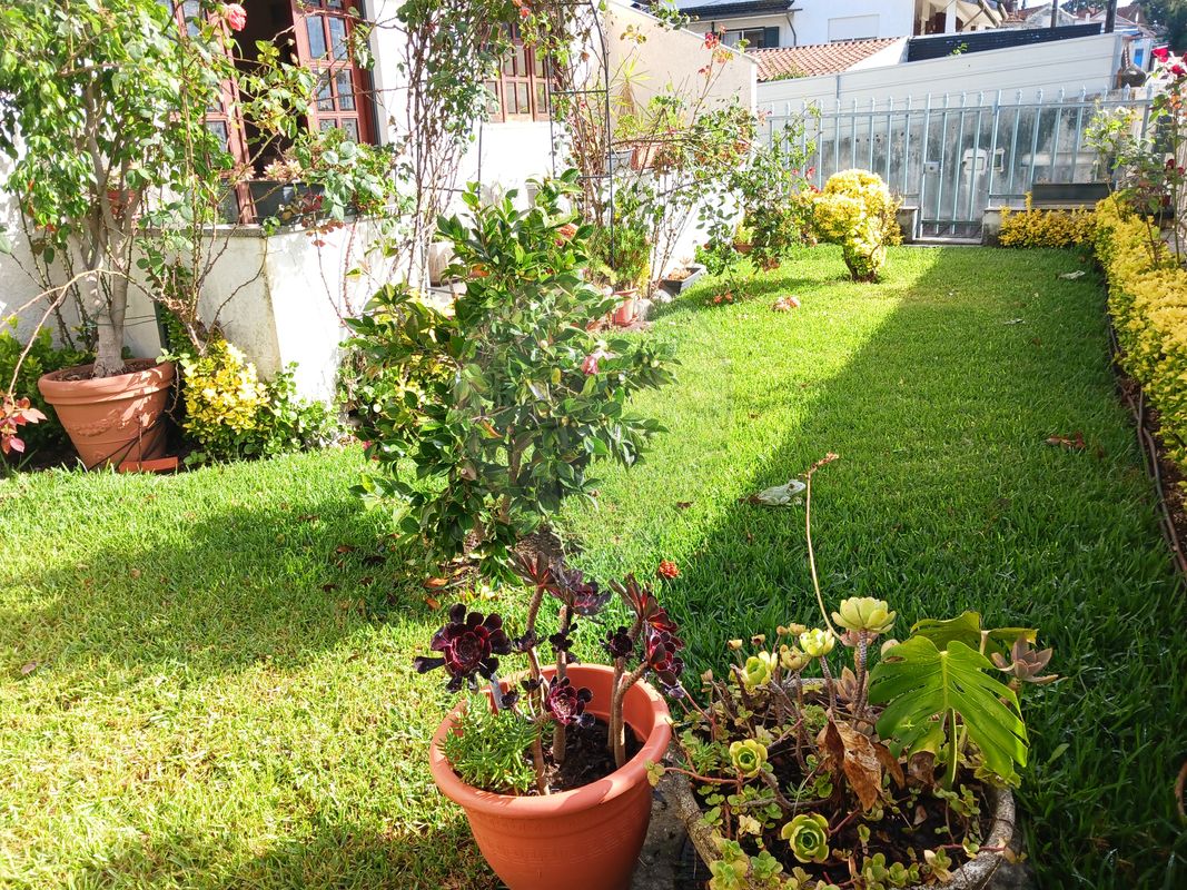 listing 123931184-2 picture-0