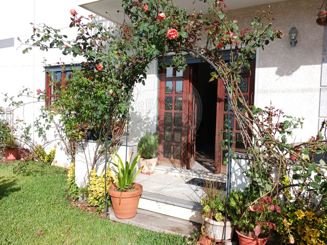 listing 123931184-2 picture-0