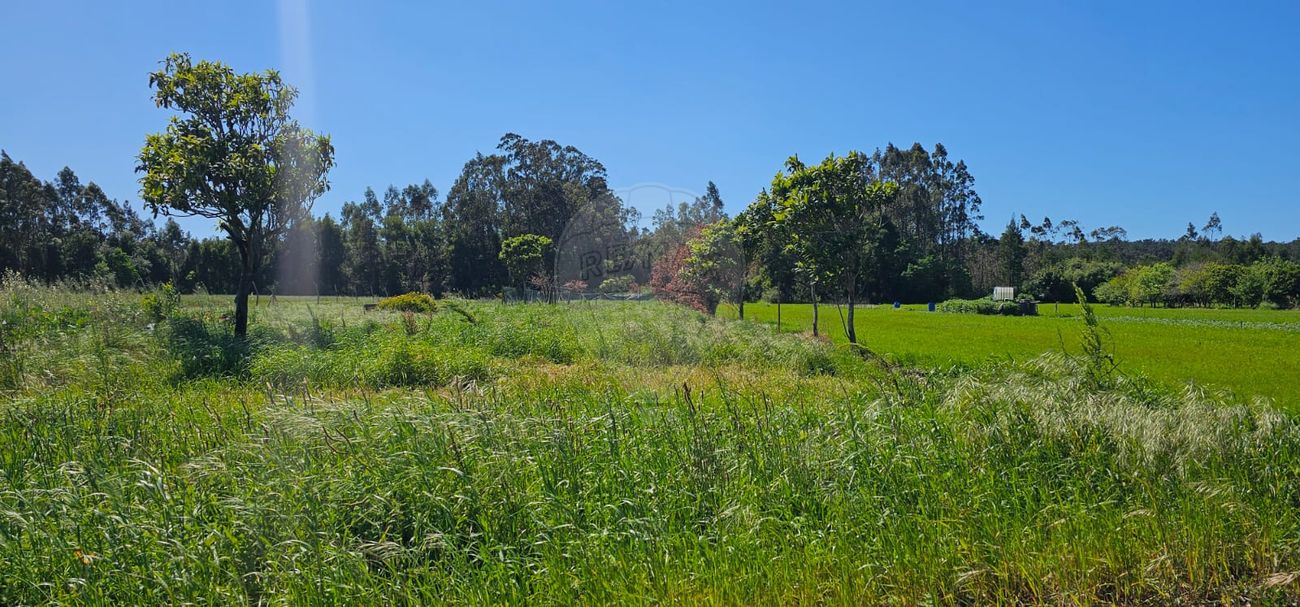 Terreno para venda