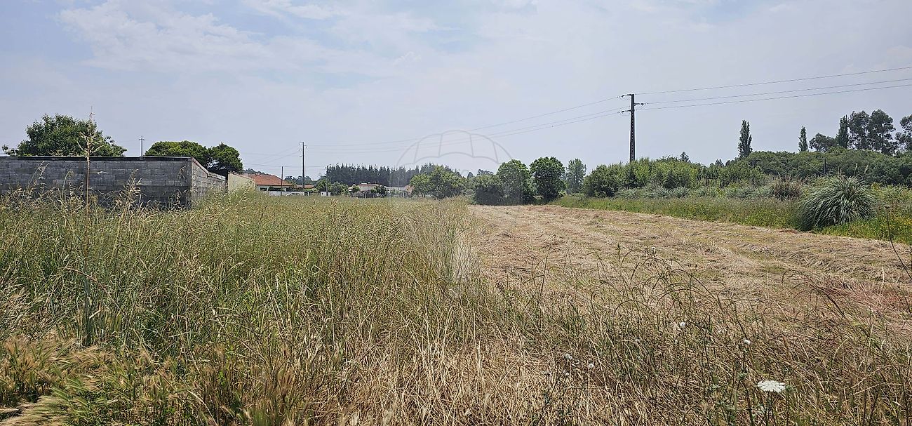 Terreno para venda