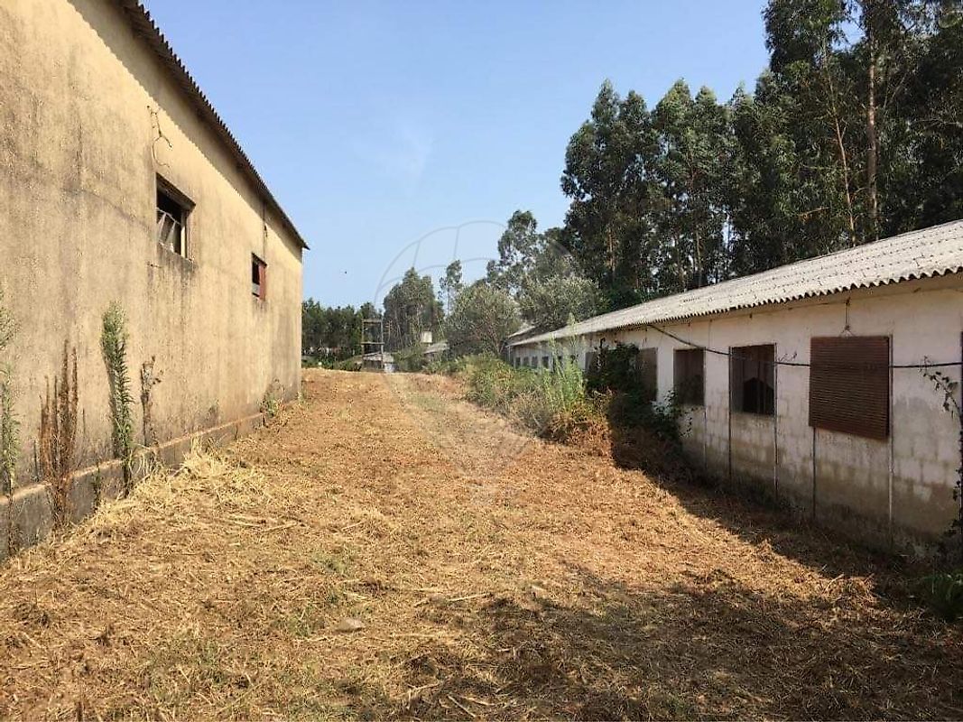 Armazém para venda