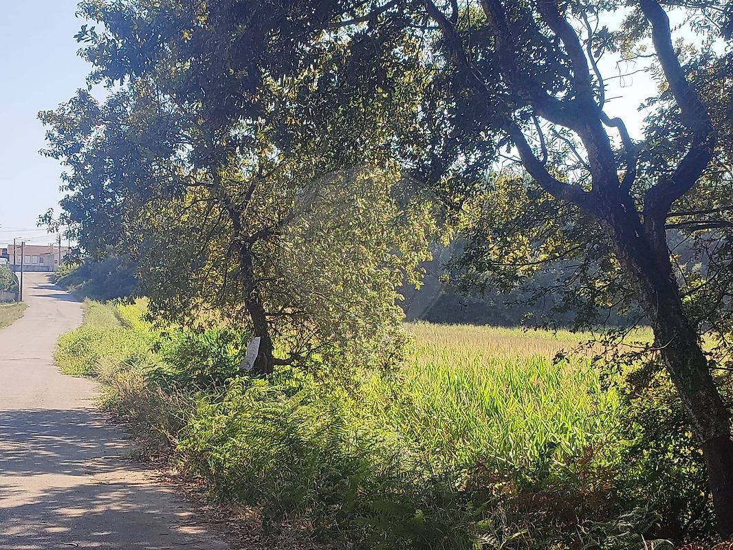 Terreno para venda