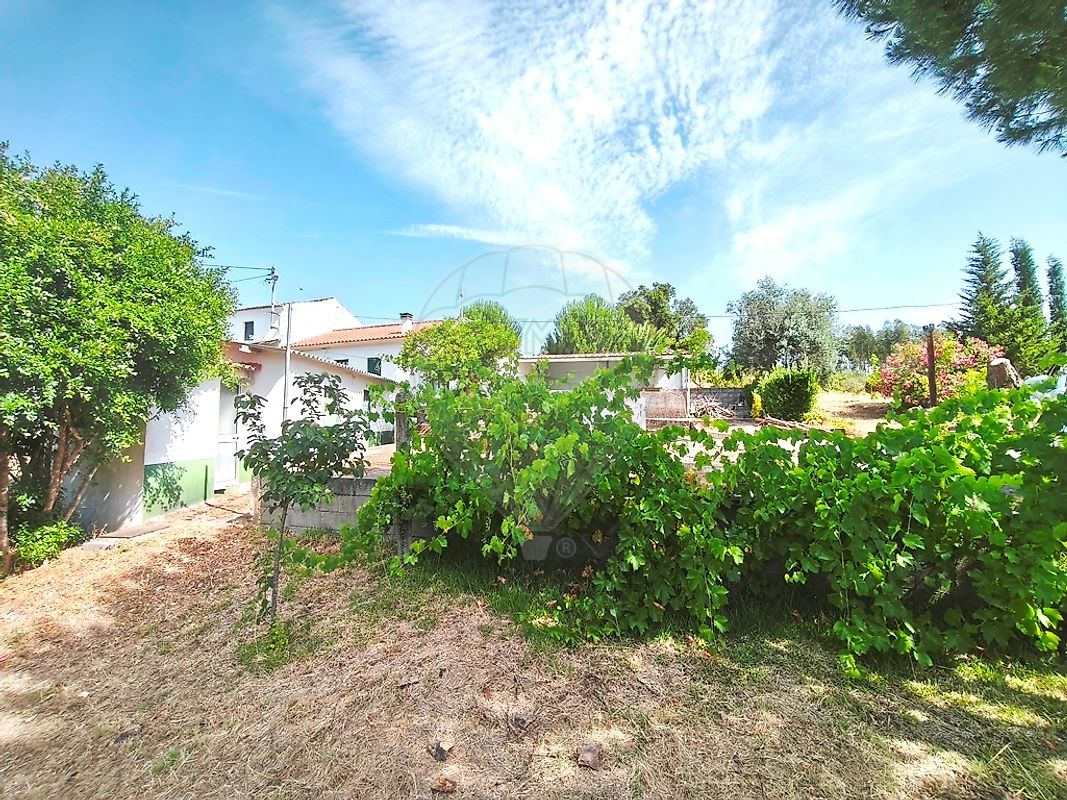 Moradia T2 à venda em Belver, Gavião — foto 15