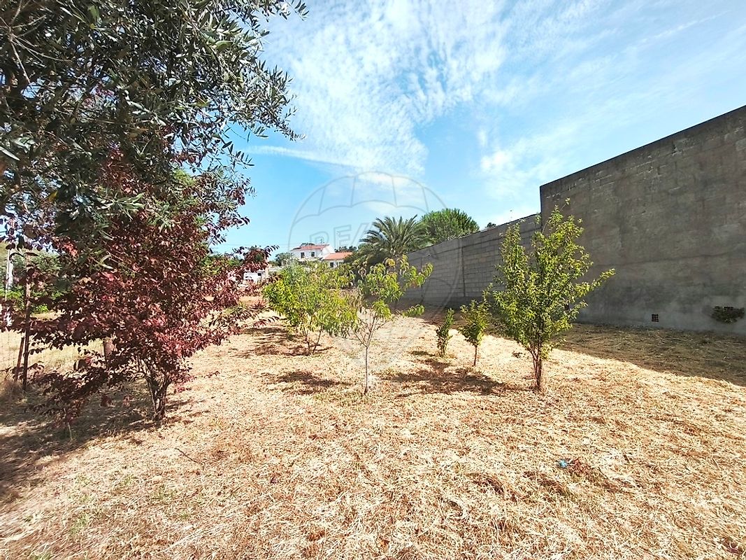 Moradia T2 à venda em Belver, Gavião — foto 9