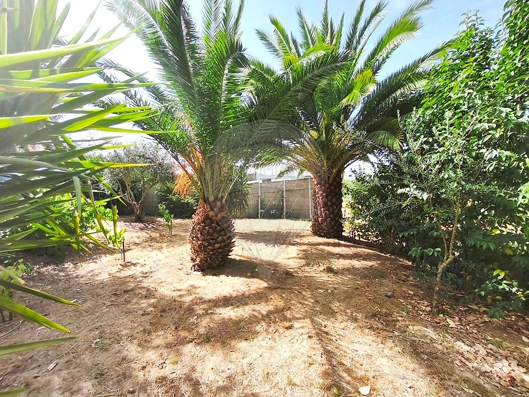 Moradia T2 à venda em Belver, Gavião — foto 10
