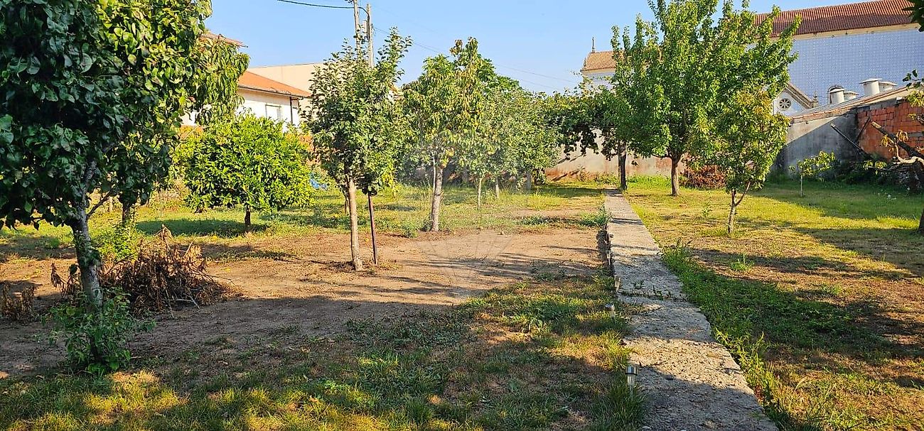 Terreno - Cortegaça, Ovar, Aveiro