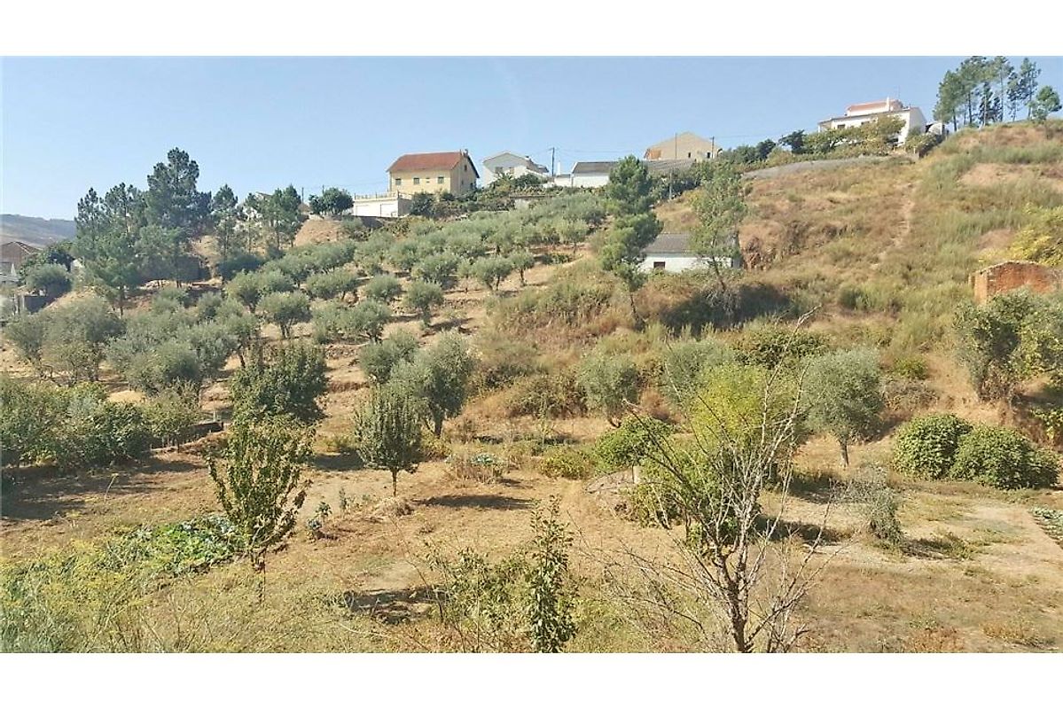 Terreno à venda em Covilhã