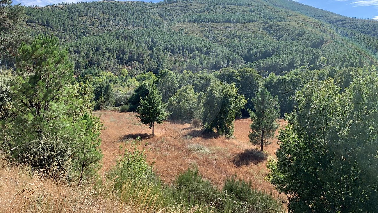 Terreno para venda