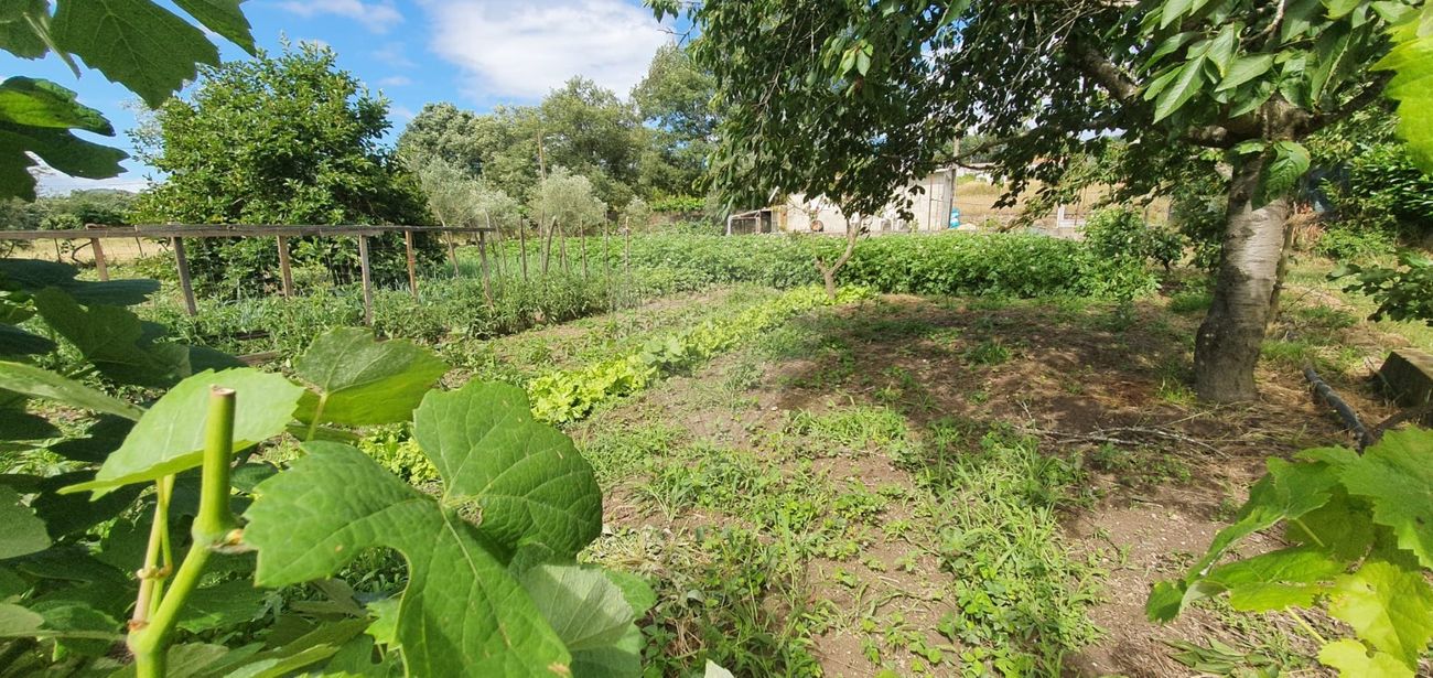 Terreno para venda
