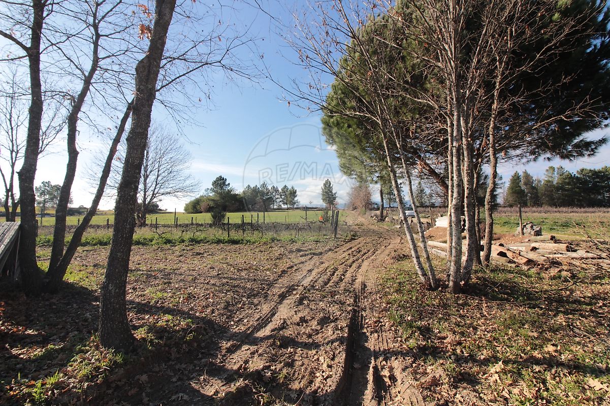 Moradia T2 à venda em Caria, Belmonte — foto 26