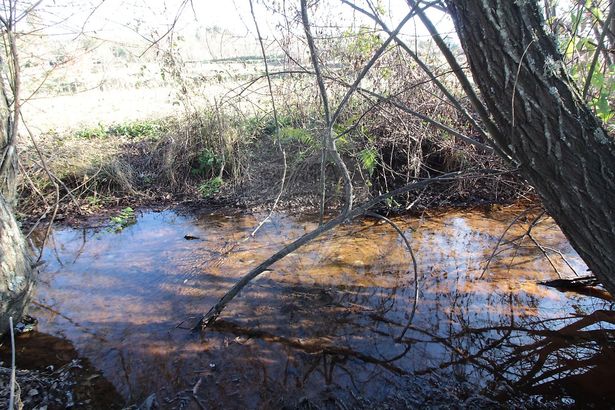 Moradia T2 à venda em Caria, Belmonte — foto 23