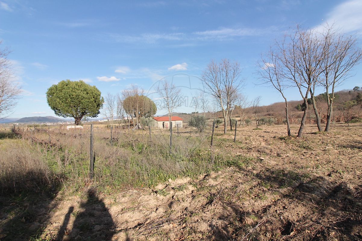 Moradia T2 à venda em Caria, Belmonte — foto 10