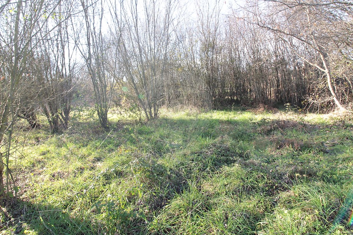 Moradia T2 à venda em Caria, Belmonte — foto 25