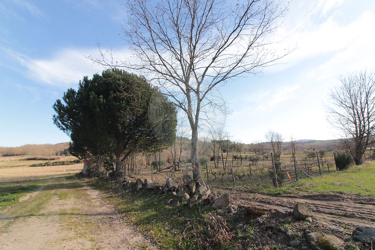 Moradia T2 à venda em Caria, Belmonte — foto 27