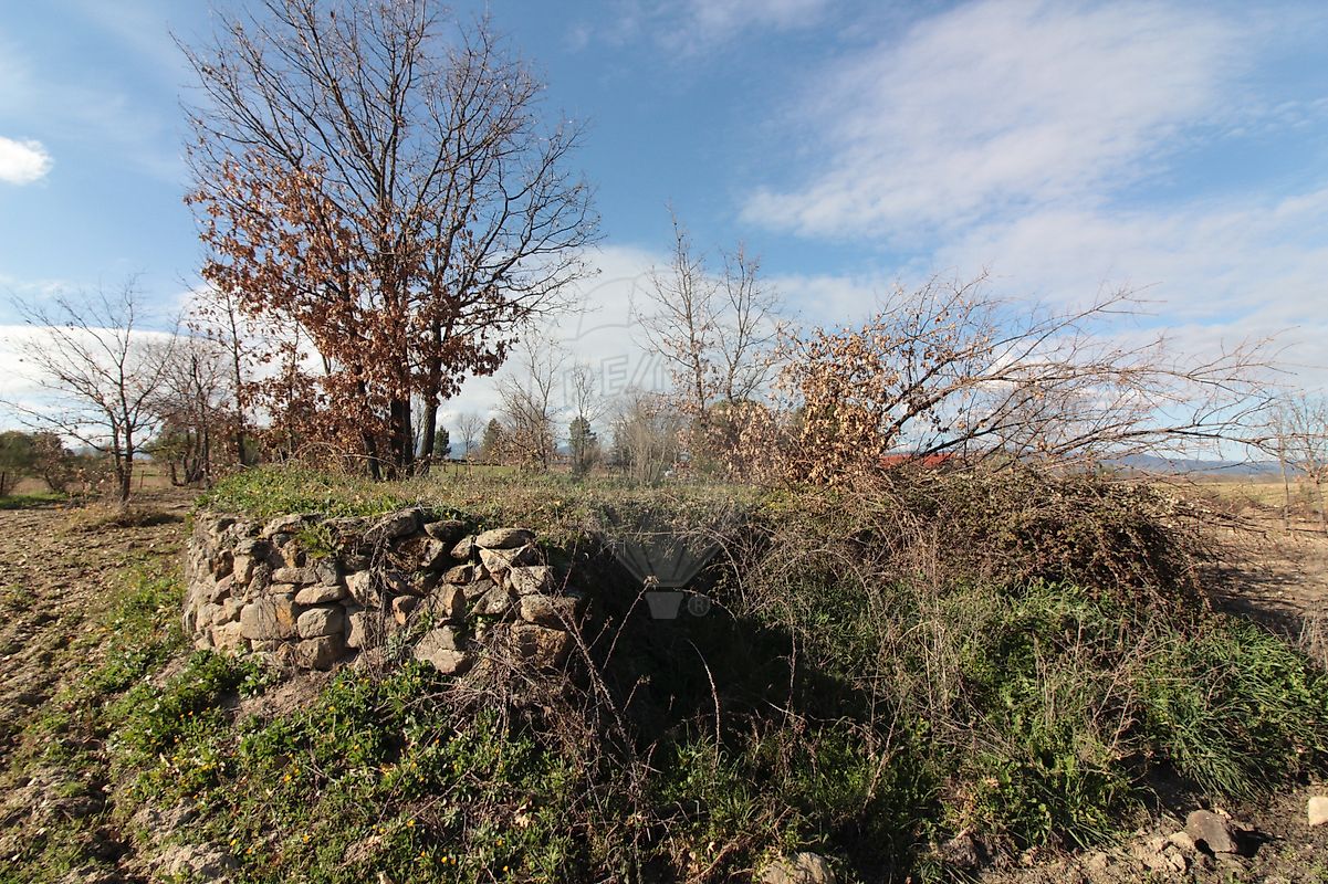 Moradia T2 à venda em Caria, Belmonte — foto 13