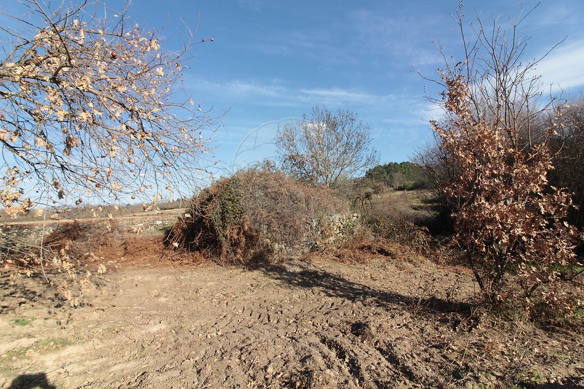 Moradia T2 à venda em Caria, Belmonte — foto 17