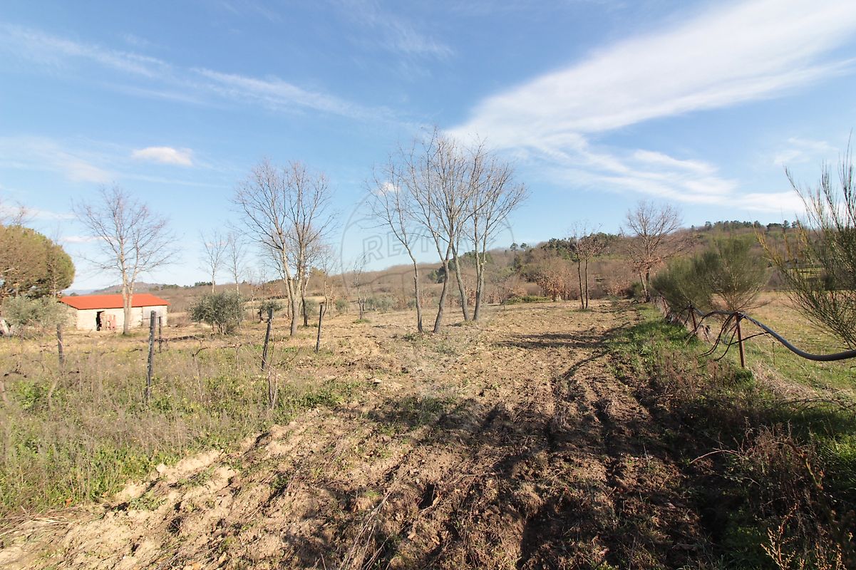 Moradia T2 à venda em Caria, Belmonte — foto 7