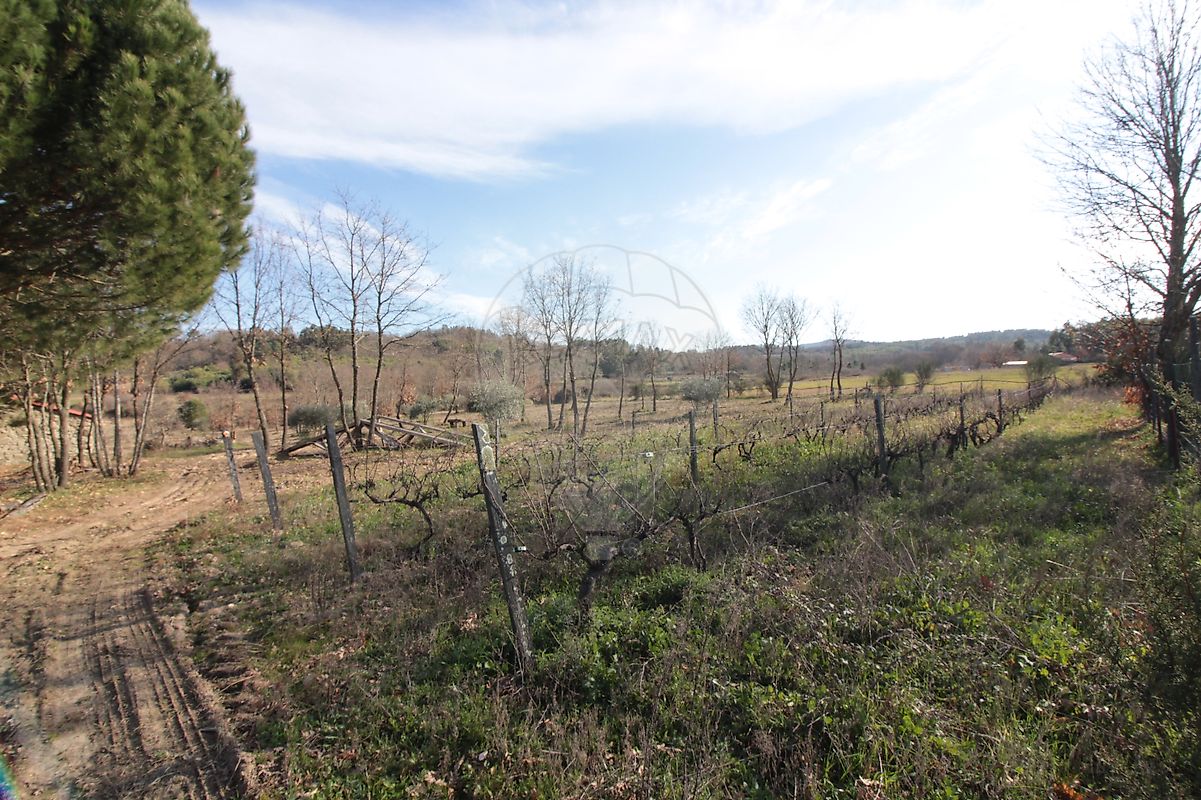 Moradia T2 à venda em Caria, Belmonte — foto 9
