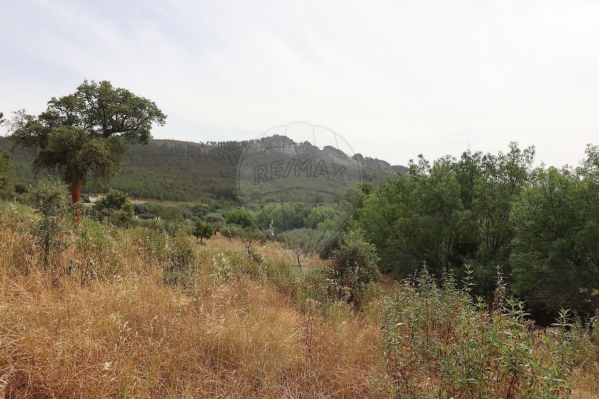 Terreno  à venda em Idanha-a-Nova