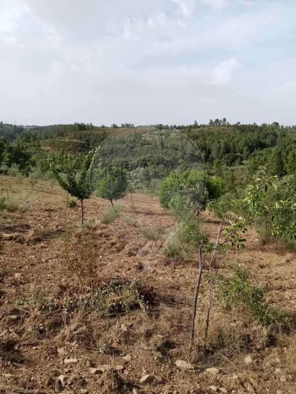 Terreno para venda