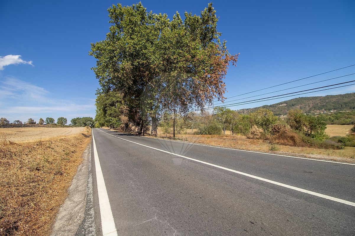Terreno para venda