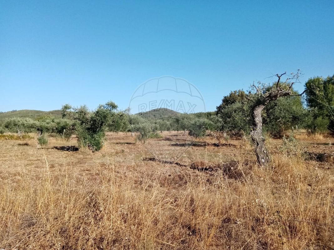 Terreno para venda