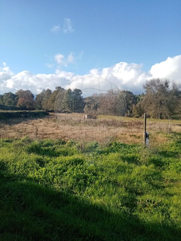 Terreno para venda