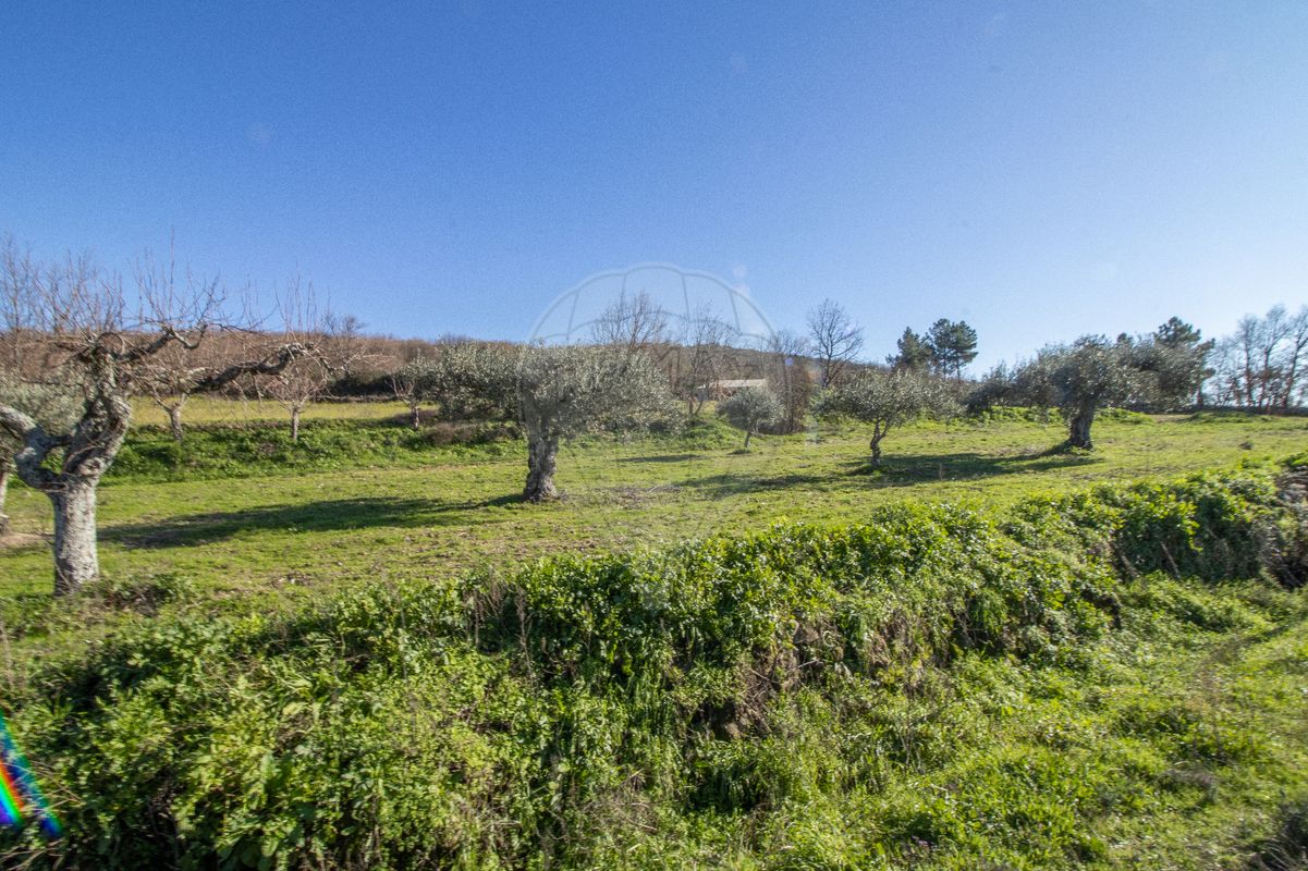Terreno  para venda